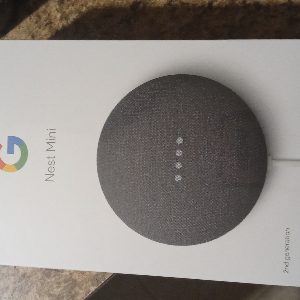 Nest mini